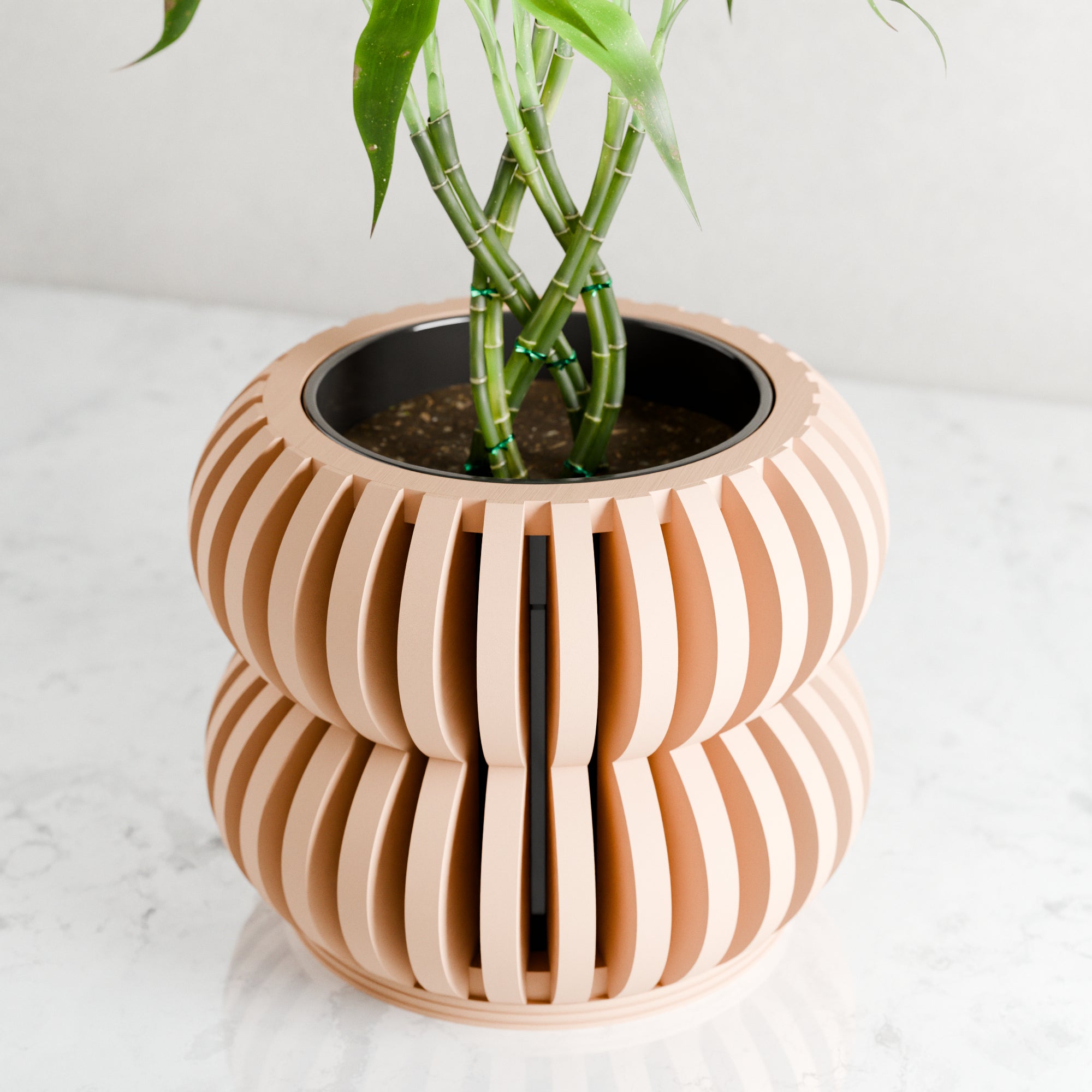 Orchid Planter DOUBLE BUBBLES