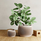 Honeycomb Planter