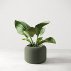 Orbis Planter