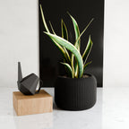 Orbis Planter