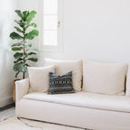 Desert Stripe Cactus Silk Pillow