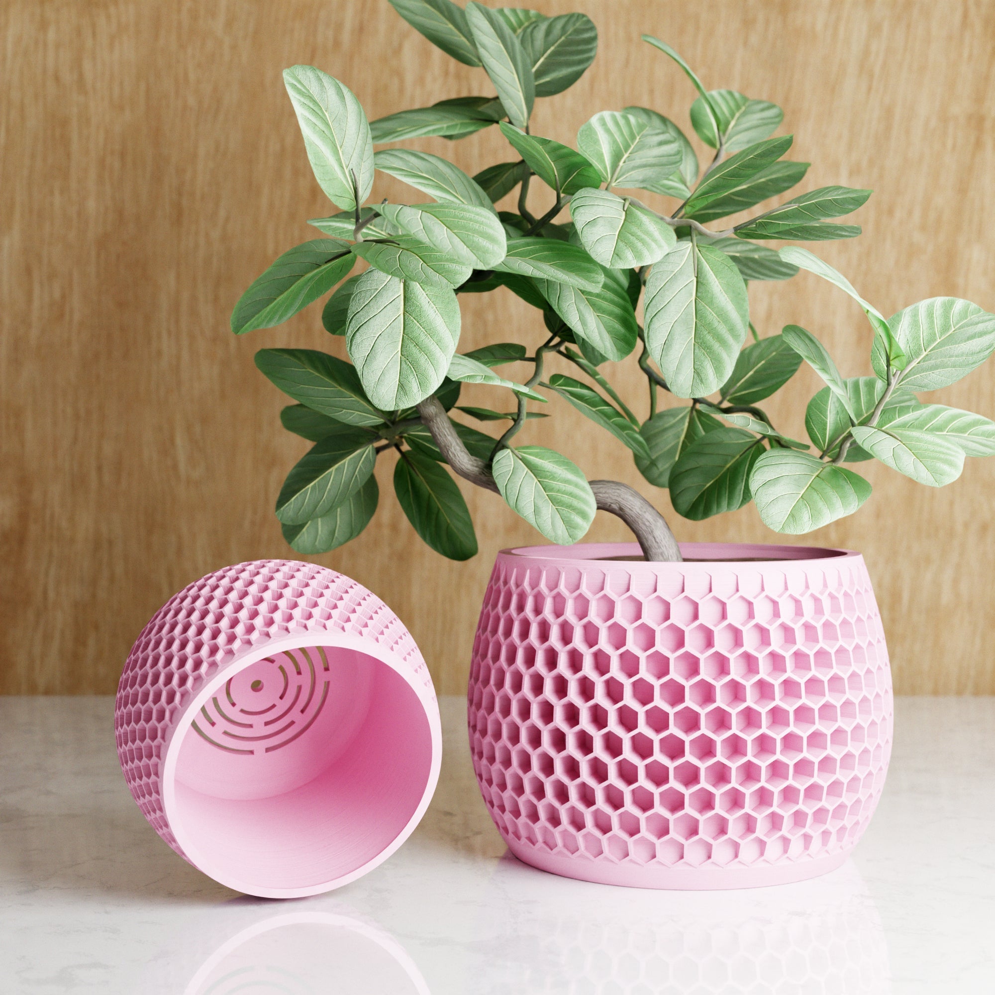 Honeycomb Planter