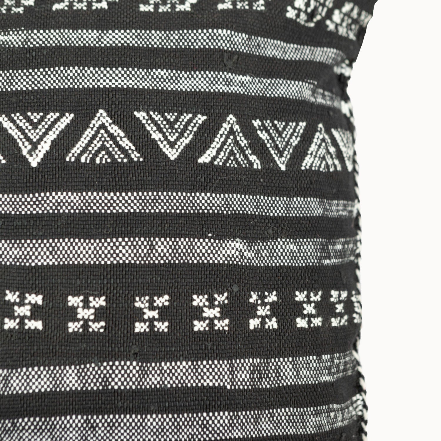 Desert Stripe Cactus Silk Pillow