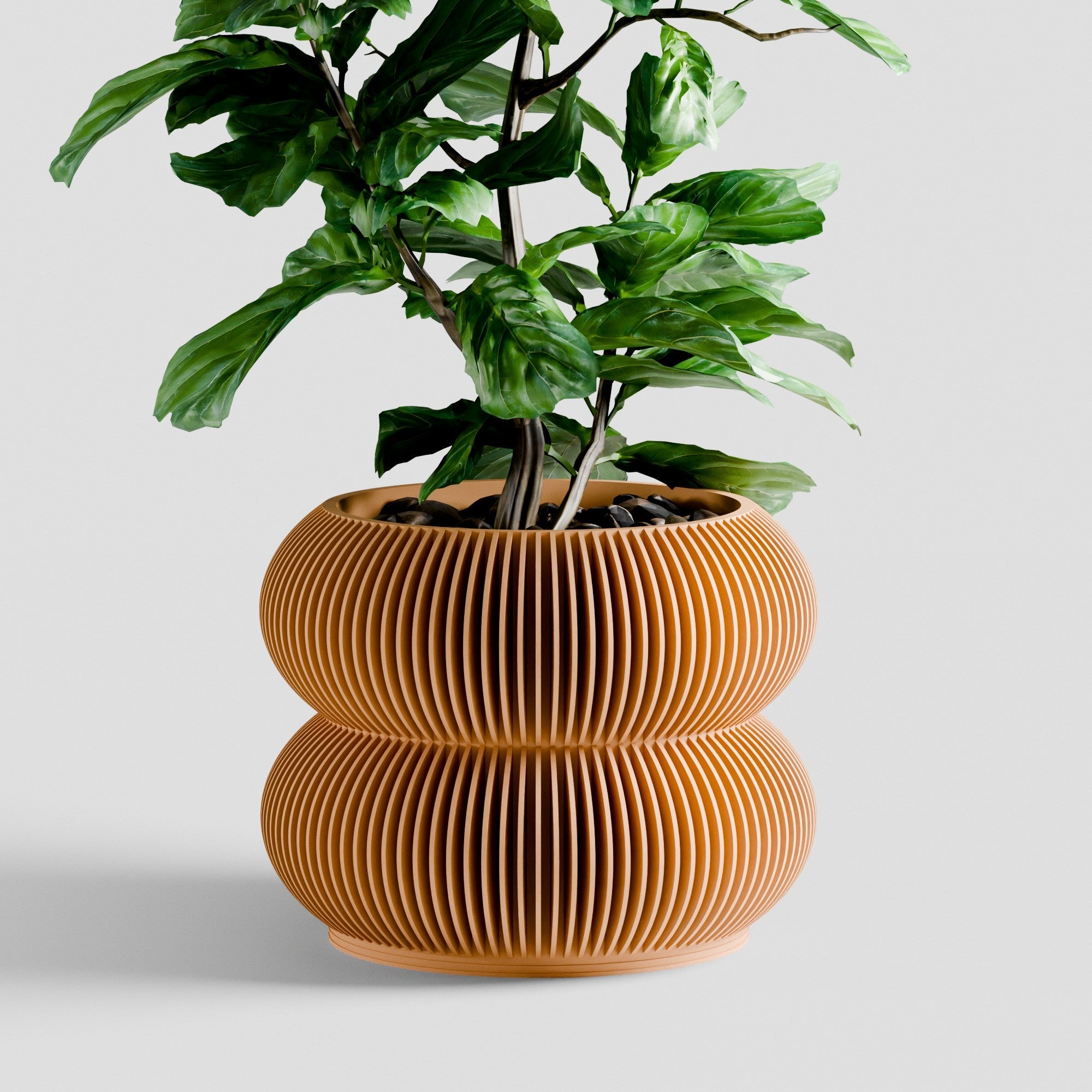 Double BUBBLES Planter